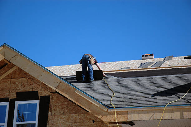 Best Roof Leak Repair  in Ipswich, SD