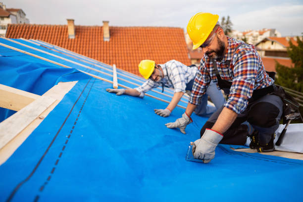 Best Roof Gutter Cleaning  in Ipswich, SD
